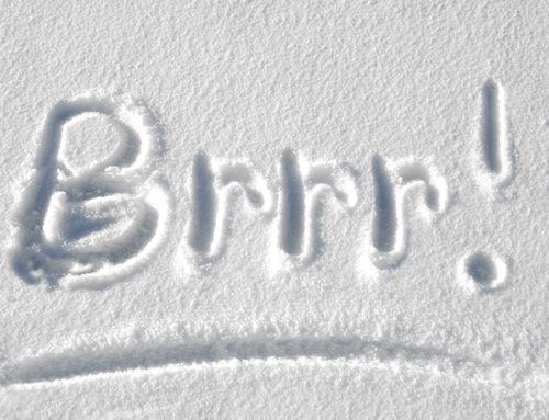 Essential promo items for winter